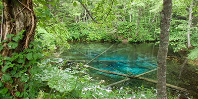 B級湖沼カタログ